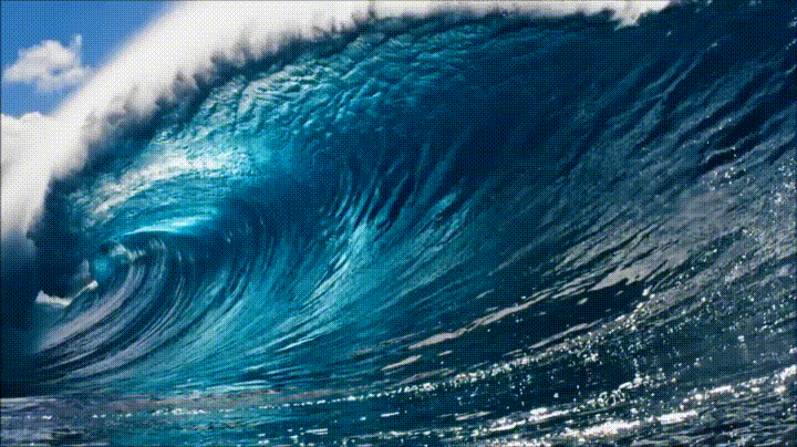 A Blue Wave!